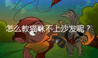 怎么教貓咪不上沙發(fā)呢？如何教貓咪不上沙發(fā)