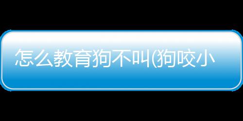 怎么教育狗不叫(狗咬小孩怎么教育)
