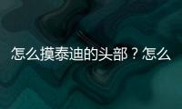 怎么摸泰迪的頭部？怎么摸泰迪的頭頂