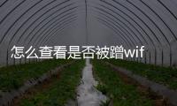 怎么查看是否被蹭wifi（如何查看wifi是否被蹭網(wǎng)）