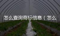 怎么查詢商標信息（怎么查詢商標）