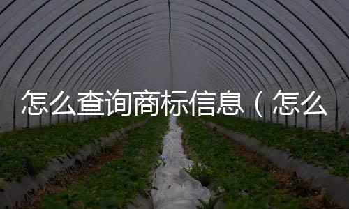 怎么查詢商標(biāo)信息（怎么查詢商標(biāo)）