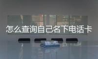 怎么查詢自己名下電話卡數(shù)量？