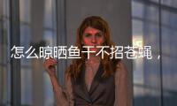怎么晾曬魚(yú)干不招蒼蠅，怎么晾曬魚(yú)干