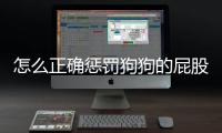怎么正確懲罰狗狗的屁股？如何懲罰狗狗才不會傷害到他