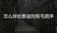 怎么樣給泰迪狗剪毛順序(怎么樣訓(xùn)練泰迪狗大小便)