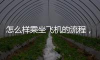 怎么樣乘坐飛機的流程，坐飛機的流程