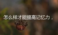 怎么樣才能提高記憶力，怎么樣提高記憶力