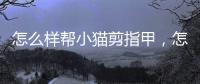 怎么樣幫小貓剪指甲，怎樣給淘氣的貓咪剪指甲