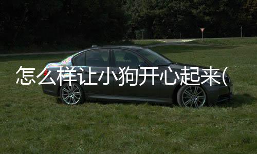 怎么樣讓小狗開心起來(lái)(怎么樣可以讓小狗開心)
