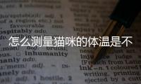 怎么測量貓咪的體溫是不是發燒(電子體溫計怎么測量貓咪的體溫)