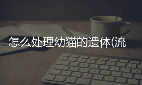 怎么處理幼貓的遺體(流浪幼貓怎么處理)