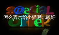 怎么弄水給小貓喝比較好？怎么弄水給小貓喝呢