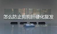 怎么防止狗狗肝硬化復發？如何防止狗狗得病