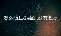 怎么防止小貓抓沙發的方法？怎么樣防止貓貓抓沙發
