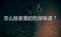怎么除家里的狗尿味道？怎么去除屋內(nèi)的狗尿味