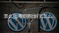 怎么能帶狗狗出行(怎么帶狗狗去北京)