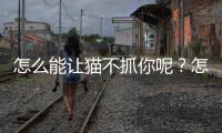 怎么能讓貓不抓你呢？怎么可以讓貓不抓人