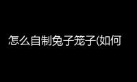 怎么自制兔子籠子(如何自制兔子籠的草盒子)