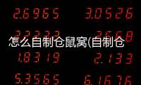怎么自制倉鼠窩(自制倉鼠磨牙棒簡單)