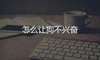 怎么讓狗不興奮