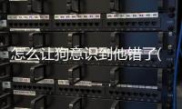 怎么讓狗意識到他錯了(怎么讓狗覺得你喜歡他)