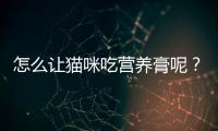 怎么讓貓咪吃營(yíng)養(yǎng)膏呢？如何讓貓咪吃營(yíng)養(yǎng)膏