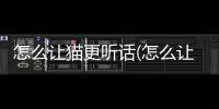 怎么讓貓更聽話(怎么讓貓聽話一點)