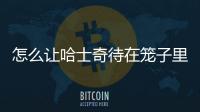 怎么讓哈士奇待在籠子里面(怎么訓練哈士奇在籠子里亂叫)