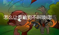 怎么讓泰迪狗不叫喚(怎么訓練泰迪狗)