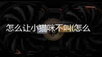 怎么讓小貓咪不叫(怎么讓小貓咪過來)