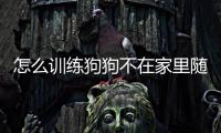 怎么訓(xùn)練狗狗不在家里隨地大小便？ 怎樣訓(xùn)練小狗不亂大小便