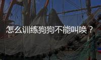 怎么訓(xùn)練狗狗不能叫喚？怎么訓(xùn)練狗狗不能叫出聲音
