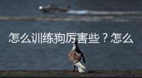 怎么訓練狗厲害些？怎么訓練狗厲害一點