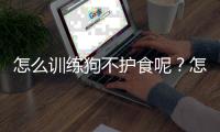 怎么訓練狗不護食呢？怎么樣訓練狗不亂吃東西