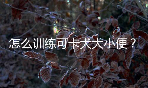 怎么訓練可卡犬大小便？怎么訓練可卡犬去工作