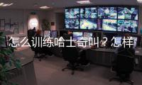 怎么訓(xùn)練哈士奇叫？怎樣訓(xùn)哈士奇