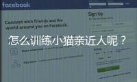 怎么訓練小貓親近人呢？怎么訓練小貓親近人的方法