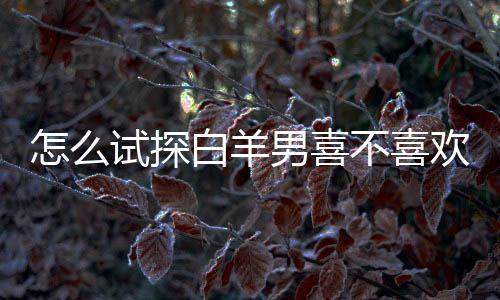 怎么試探白羊男喜不喜歡你