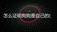怎么證明狗狗是自己的(純種狗狗怎么證明)