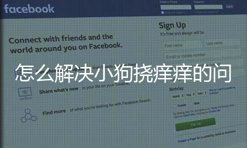 怎么解決小狗撓癢癢的問題？小狗狗撓癢癢正常嗎