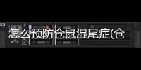 怎么預(yù)防倉鼠濕尾癥(倉鼠濕尾怎么造成的)