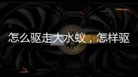 怎么驅(qū)走大水蟻，怎樣驅(qū)趕大水蟻