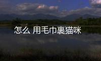 怎么 用毛巾裹貓咪