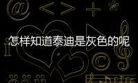怎樣知道泰迪是灰色的呢？怎么判斷泰迪是灰色還是黑色