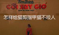 怎樣給貓剪指甲貓不咬人，怎樣給貓剪指甲