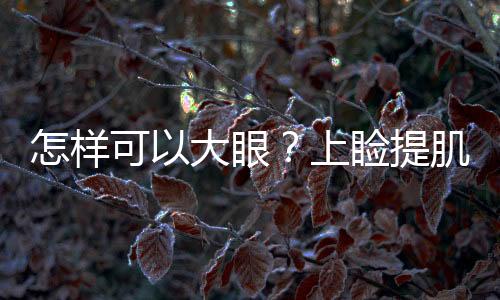 怎樣可以大眼？上瞼提肌縮短矯正術是什么？
