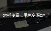 怎樣使泰迪毛色變深(怎樣使泰迪毛色變亮)