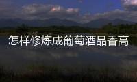 怎樣修煉成葡萄酒品香高手？