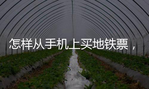 怎樣從手機(jī)上買地鐵票，手機(jī)怎么購買地鐵票和取票